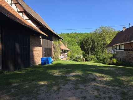 Foto von Michel Kennel entlang der Tour