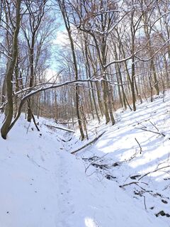Foto de Katona Ferk Mariann a lo largo del recorrido