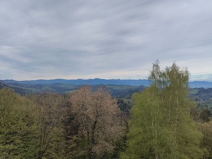Kuva osoitteesta Lena Eder matkan varrella