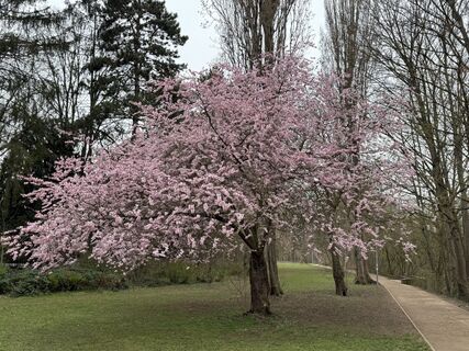 Foto von Norbert Herbig entlang der Tour