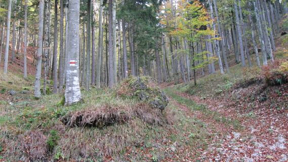 Aufstieg durch das Schöntal