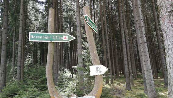 Vom Leitencafé bei Tanna zum Rosenbühl