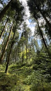 Foto de Ramon Schmidt a lo largo del recorrido