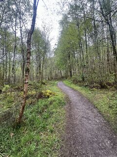Photo de Maximilian Schranz le long du parcours