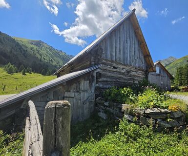 Fotografija s spletne strani MRDL na poti