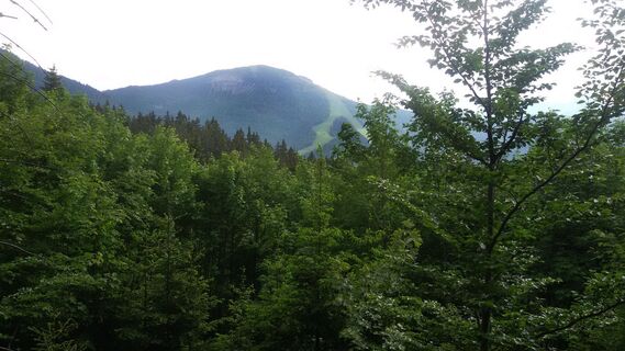 Blick auf den Kleinen Ötscher