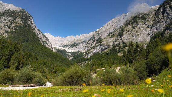 Bergleintal im Sommer