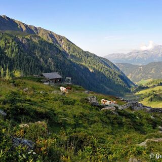 Entlang von Bächen und Kuhweiden geht es nun etwas weniger steil weiter.