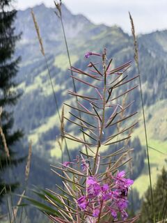 Photo de UliRx le long du parcours