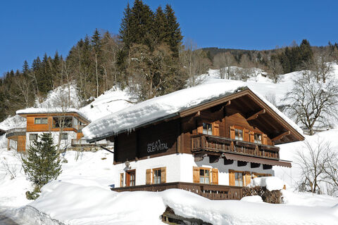 Chalet Glemmtal