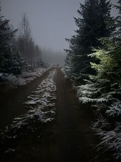 Fotografia z Havry Michal na trase