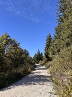 Photo de Heinz Sperl le long du parcours