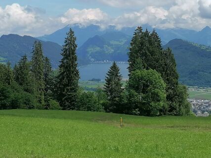 Foto von luyyy entlang der Tour
