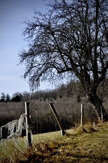 Foto de Kellner Heidi a lo largo del recorrido