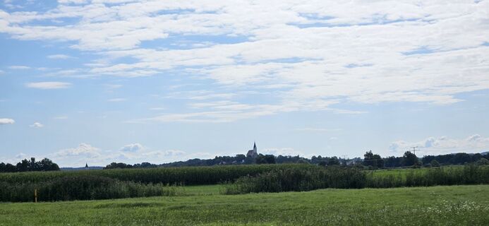 Foto från garrincha under resans gång