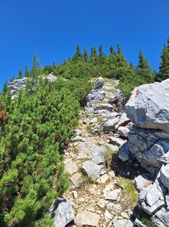 Fotografija s spletne strani Vít Zemánek na poti