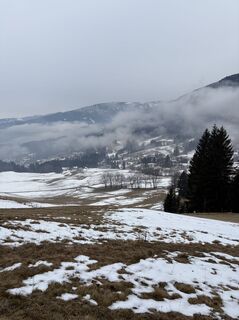 Fotografija s spletne strani Meszaros Marianna na poti