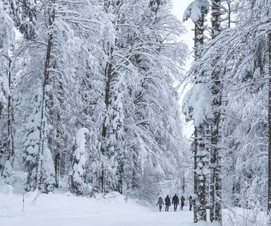 Winterwandern