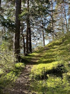 Foto von Nicole Hundertmark entlang der Tour
