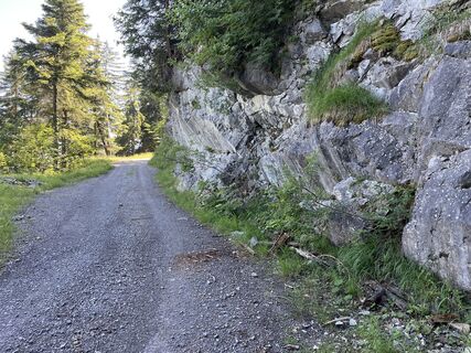 Fotografija s spletne strani Reinhard Gstöttenmayer na poti