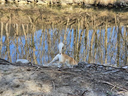 Foto van Thomas Kautek langs de tour