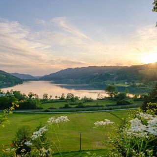 Abendstimmung am Großen Alpsee Aussichtspunkt