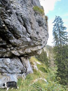 Photo de StojanovM le long du parcours