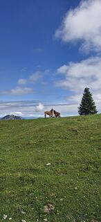 Foto de Jürgen Koinegg 1 a lo largo del recorrido