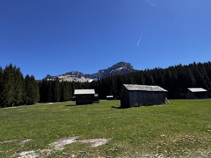 Fotografie z Friederike Steyrer na trase