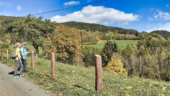 Wir wandern zwischen freien Wiesenflächen auf der Sonnseite