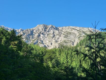 Foto från Daniel Lautermüller under resans gång