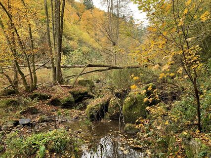 Photo de Stefan Kohout le long du parcours