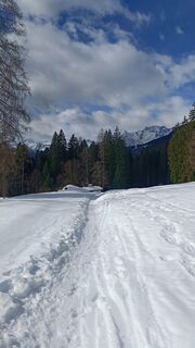 Photo de EdenRose le long du parcours