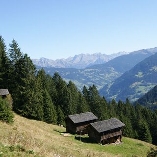 Maisäße auf Plazadels