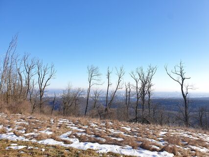 Foto de Georg B. Meier a lo largo del recorrido