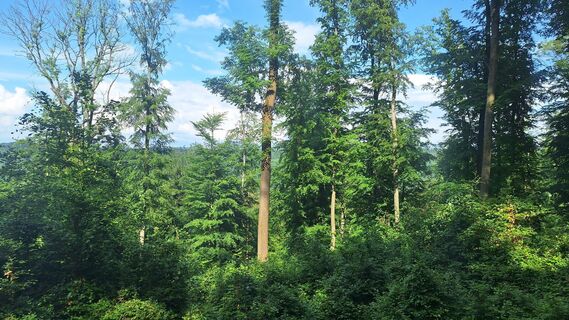 Fotografie z Matej Mikus 1 na trase