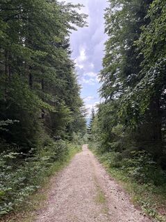 Foto von Nadine Eigner entlang der Tour