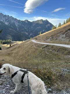 Fotografie z Bene Schadel na trase