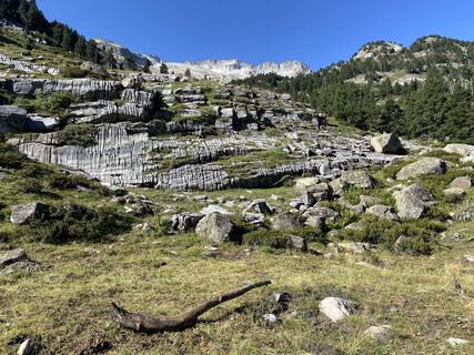 Fotografia z Gisela Walz na trase