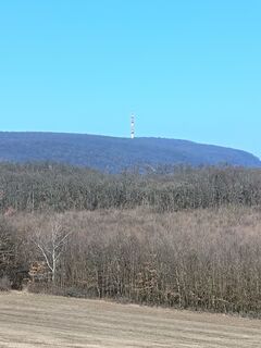 Foto von Julika Jármer entlang der Tour