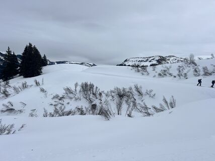 Fotografia z Dominique BERTHET na trase