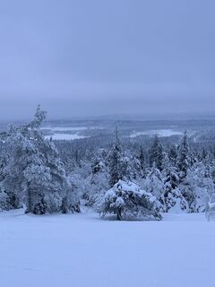 Zdjęcie z Snowboard-BS wzdłuż trasy