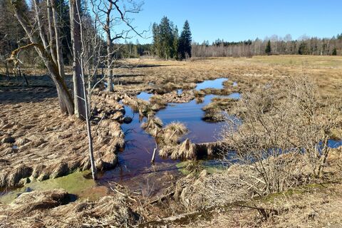 Foto de Guenther Hahn a lo largo del recorrido