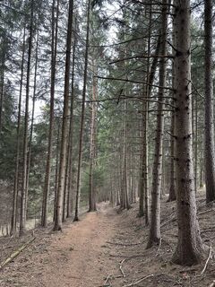 Foto von Stefan Kohout entlang der Tour