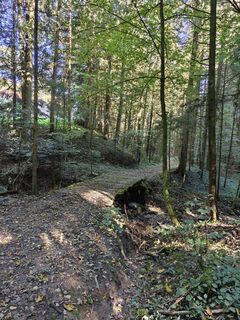 Fotografie de la Christopher Danter de-a lungul turului