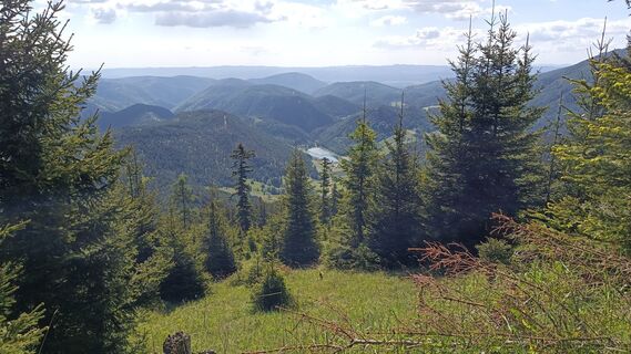 Foto von Bergpirat entlang der Tour