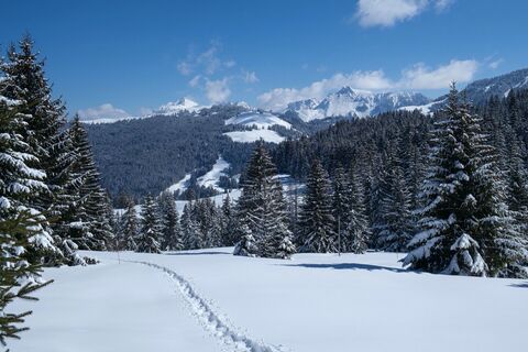 Winterlandschaft - Schwyber Trail