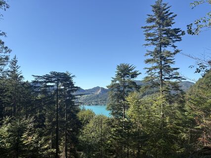 Foto von Lu Wang entlang der Tour