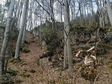 Foto von Derschowieder entlang der Tour