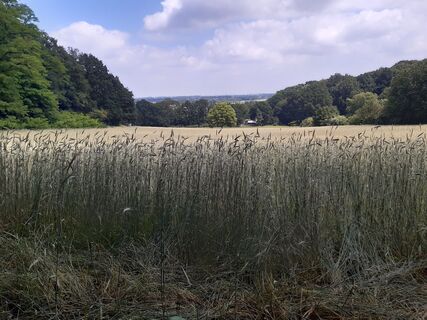 Fotografia z Peter spierenburg na trase